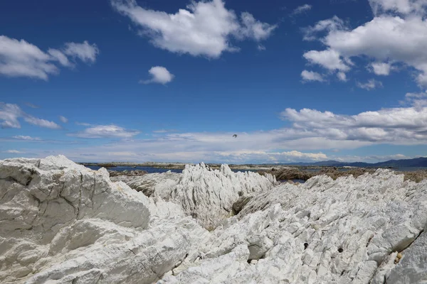 Kueste Kaikoura Kaikouras Kust — Stockfoto