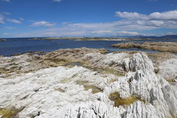 Kueste Kaikoura / Kaikoura Sahili / 