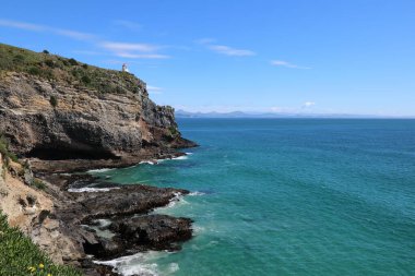 Kueste Otago Halbinsel / Otago Yarımadası Sahili / 