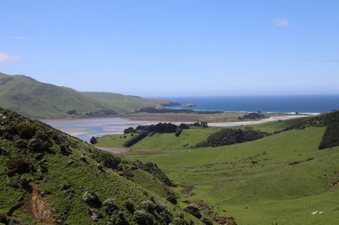 Kueste Otago Halbinsel / Otago Yarımadası Sahili / 