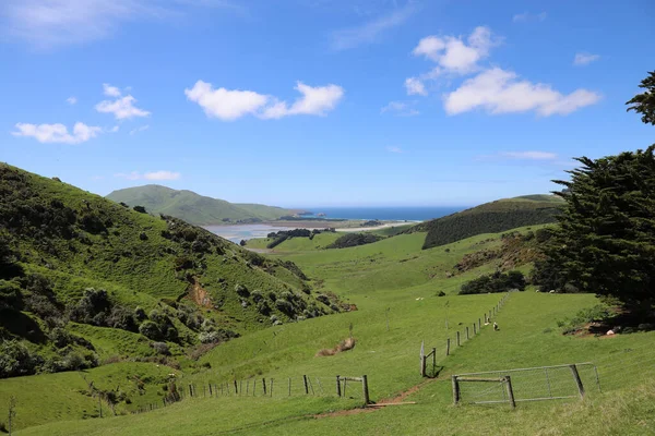 Kueste Otago Halbinsel Pobřeží Poloostrova Otago — Stock fotografie