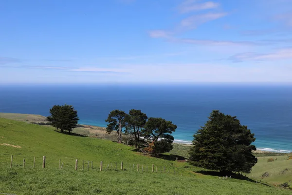 Kueste Otago Halbinsel Pobřeží Poloostrova Otago — Stock fotografie