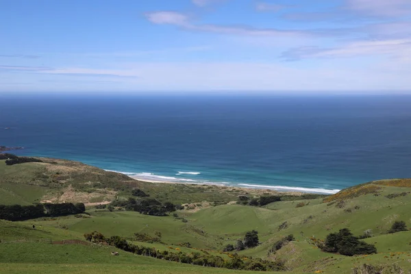Kueste Otago Halbinsel Costa Península Otago — Fotografia de Stock