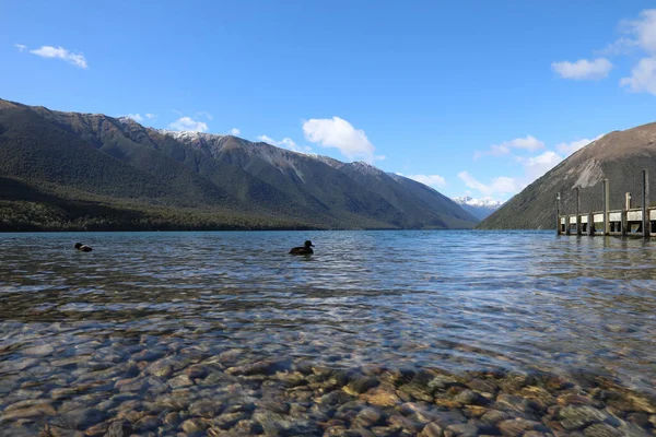 Lake Rotoiti Lake Rotoiti — 스톡 사진