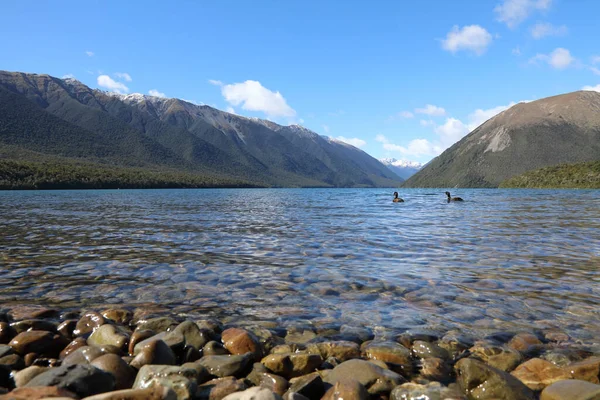 Rotoiti Lake Rotoiti — 스톡 사진