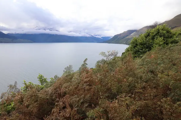 Wakatipu Gölü Wakatipu Gölü — Stok fotoğraf
