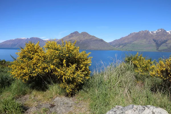 Wakatipu Gölü Wakatipu Gölü — Stok fotoğraf