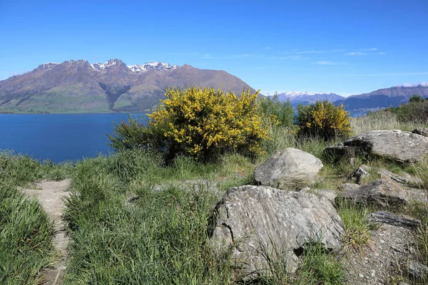 Wakatipu Gölü Wakatipu Gölü — Stok fotoğraf