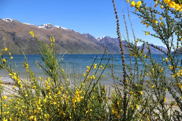 Lake Wakatipu Lake Wakatipu — Stockfoto