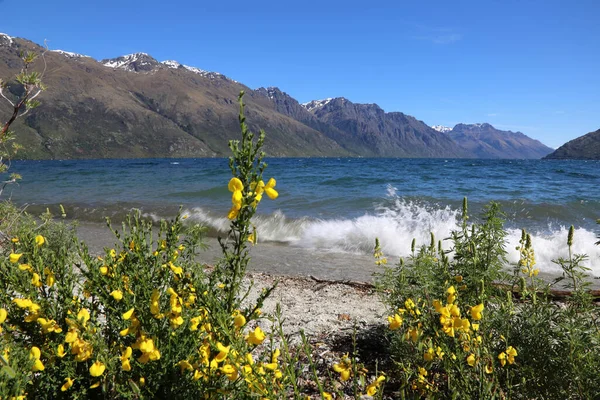 Lago Wakatipu Lago Wakatipu — Fotografia de Stock