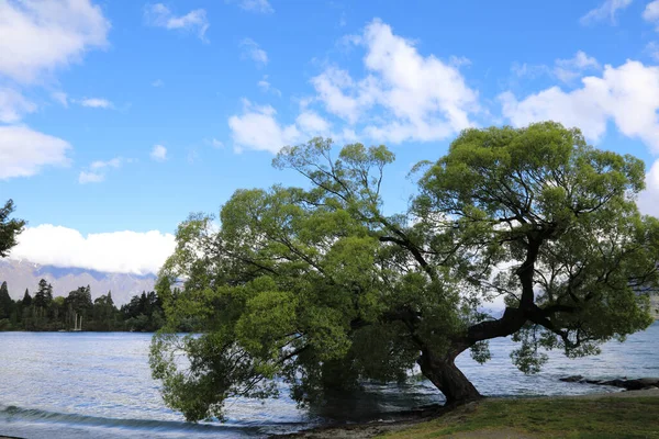 Lake Wakatipu Lake Wakatipu — Stockfoto