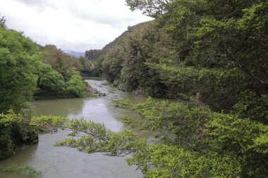 Maruia Nehri / Maruia Nehri / 