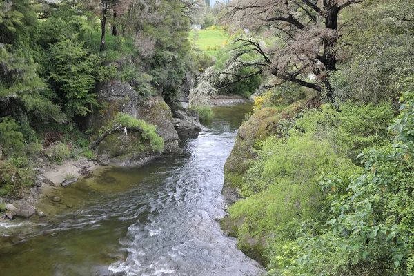 Mangles River Mangles River — стокове фото