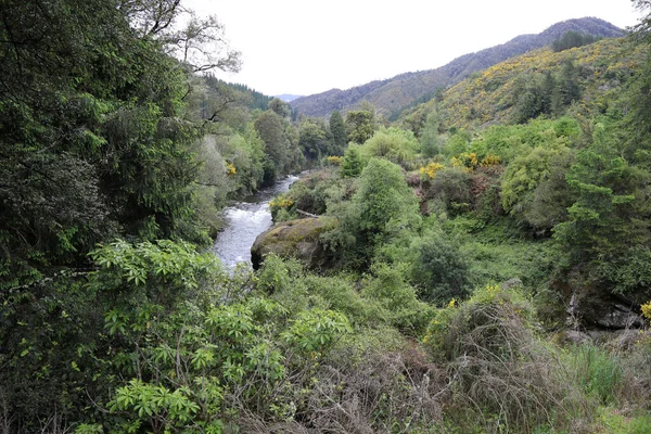 マングルス川 マングルス川 — ストック写真