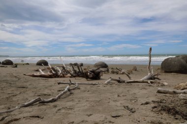 Moeraki Kayaları / Moeraki Kayaları / 