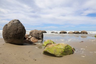 Moeraki Kayaları / Moeraki Kayaları / 