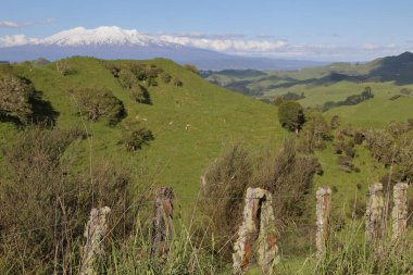 Ruapehu Dağı Neuseeland / Ruapehu Dağı Yeni Zelanda /