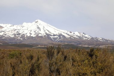 Ruapehu Dağı Neuseeland / Ruapehu Dağı Yeni Zelanda /