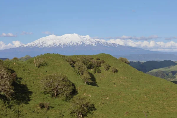 Mount Ruapehu Neuseeland Mount Ruapehu Nowa Zelandia — Zdjęcie stockowe