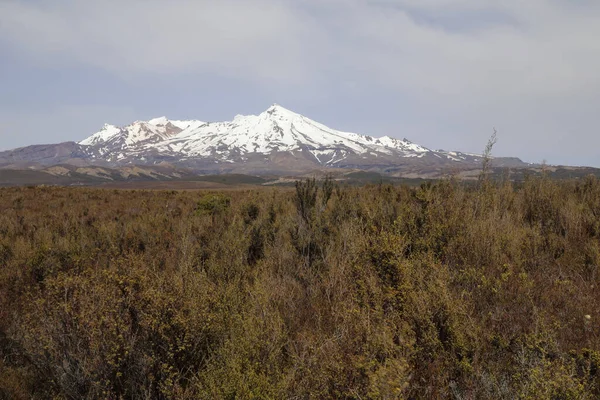 Mount Ruapehu Neuseeland Mount Ruapehu New Zealand — Stock Photo, Image