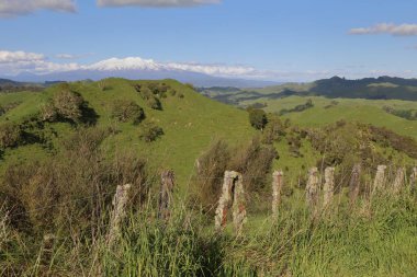 Ruapehu Dağı ve Ngauruhoe Dağı Neuseeland Dağı / Ruapehu Dağı ve Yeni Zelanda Dağı /
