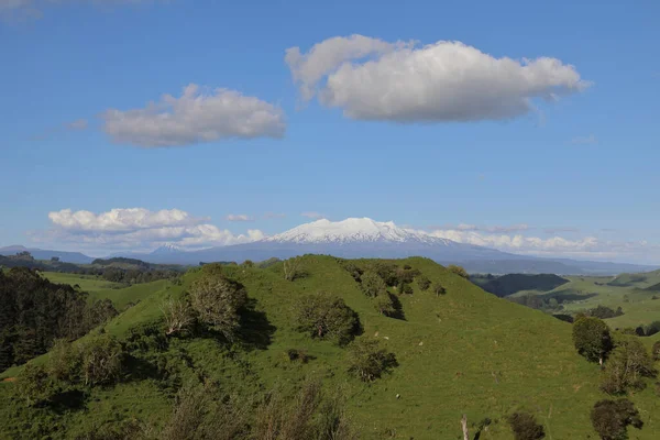 Góra Ruapehu Und Góra Ngauruhoe Neuseeland Góra Ruapehu Ngauruhoe Nowa — Zdjęcie stockowe