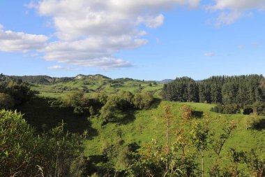 Neuseeland - Peyzaj / Yeni Zelanda - Manzara