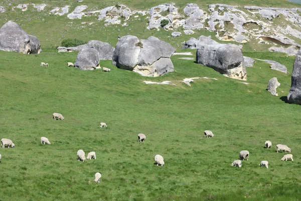 Neuseeland Elephant Rocks Neuseeland Elephant Rocks — Fotografia de Stock
