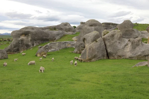 Neuseeland Elephant Rocks Neuseeland Elephant Rocks — Foto de Stock
