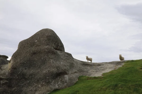 Neuseeland Elephant Rocks Neuseeland Elephant Rocks — Foto de Stock