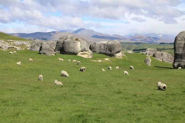 Neuseeland Fil Kayaları Neuseeland Fil Kayaları — Stok fotoğraf