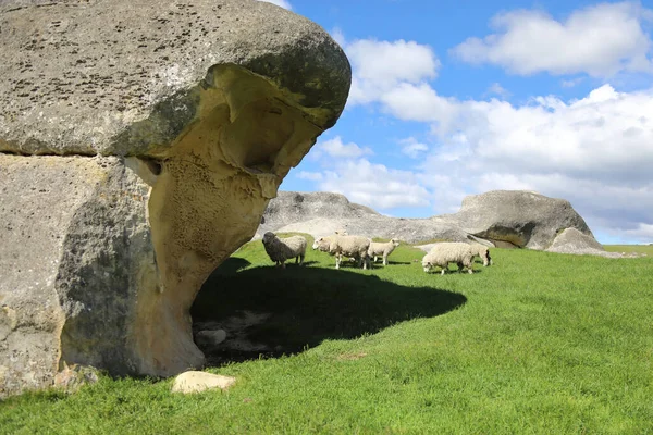 Neuseeland Elephant Rocks Neuseeland Elephant Rocks — стоковое фото