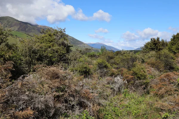 Neuseeland Landschaft Nowa Zelandia Krajobraz — Zdjęcie stockowe