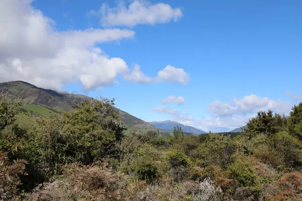 Neuseeland Landschaft Nowa Zelandia Krajobraz — Zdjęcie stockowe