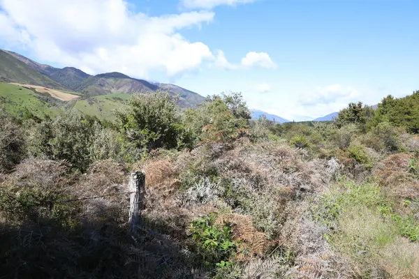 Neuseeland Landschaft Nouvelle Zélande Paysage — Photo