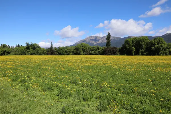 Neuseeland Landschaft Nuova Zelanda Paesaggio — Foto Stock