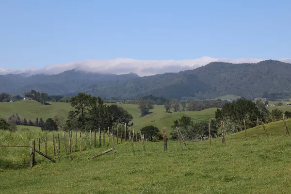 ニュージーランド Landschaft New Zealand — ストック写真