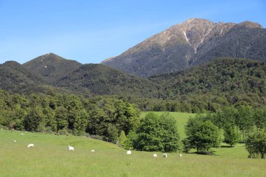 Neuseeland - Somers Dağı / Yeni Zelanda - Somers Dağı çevresindeki peyzaj