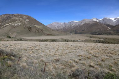 Neuseeland - Landschaft entlang Hwy 73 / Yeni Zelanda boyunca Hwy 73