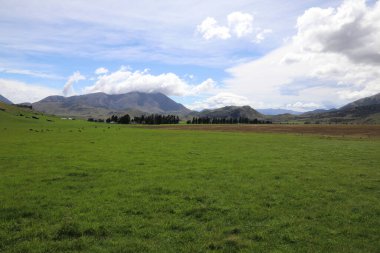 Neuseeland - Landschaft entlang Hwy 73 / Yeni Zelanda boyunca Hwy 73