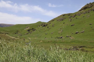 Neuseeland - Mangaohane Gegend / Yeni Zelanda - Mangaohane Bölgesi /