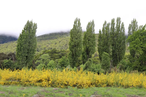 ニュージーランド Landschaft New Zealand Landscape — ストック写真