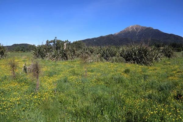 ニュージーランド Landschaftei Mount Somers ニュージーランド マウント ソマーズ周辺の風景 — ストック写真