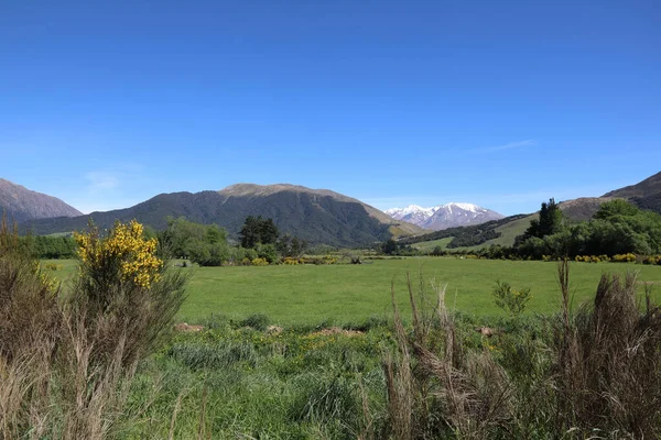 Neuseeland Landschaft Bei Mount Somers Nova Zelândia Paisagem Torno Monte — Fotografia de Stock