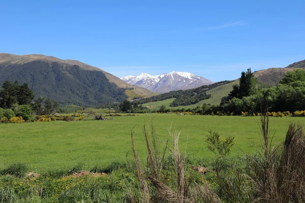 Neuseeland Landschaft Bei Mount Somers New Zealand Somers 주변의 — 스톡 사진