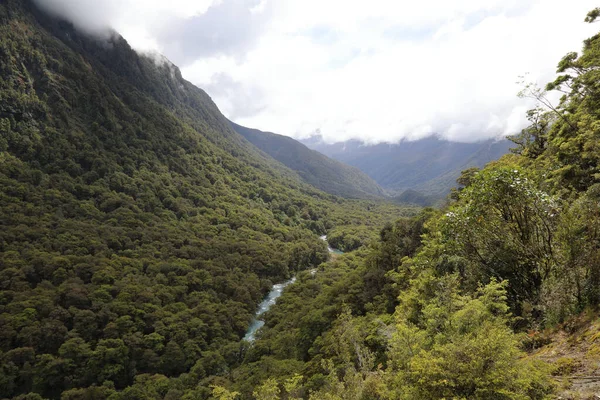 Neuseeland Landschaft Entlang Hwy Nova Zelândia Paisagem Longo Hwy — Fotografia de Stock