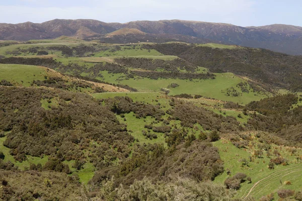 Neuseeland Landschaft Mangaohane Gegend Nova Zelândia Landscape Mangaohane Area — Fotografia de Stock