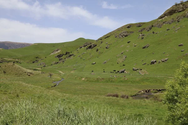 Neuseeland Landschaft Mangaohane Gegend New Zealand Landscape Mangaohane Area — Stock Photo, Image