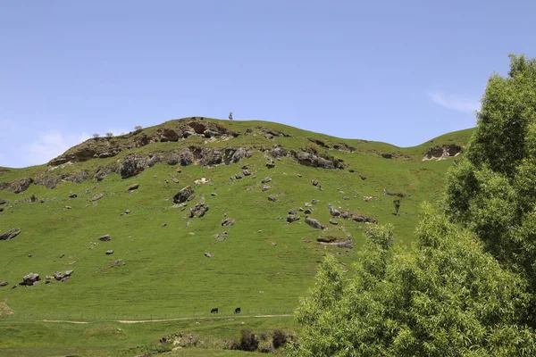 Neuseeland Landschaft Mangaohane Gegend New Zealand Landscape Mangaohane Area — Stock Photo, Image