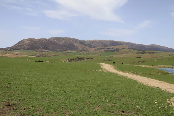 Neuseeland Landschaft Mangaohane Gegend Nowa Zelandia Obszar Krajobrazu Mangaohane — Zdjęcie stockowe